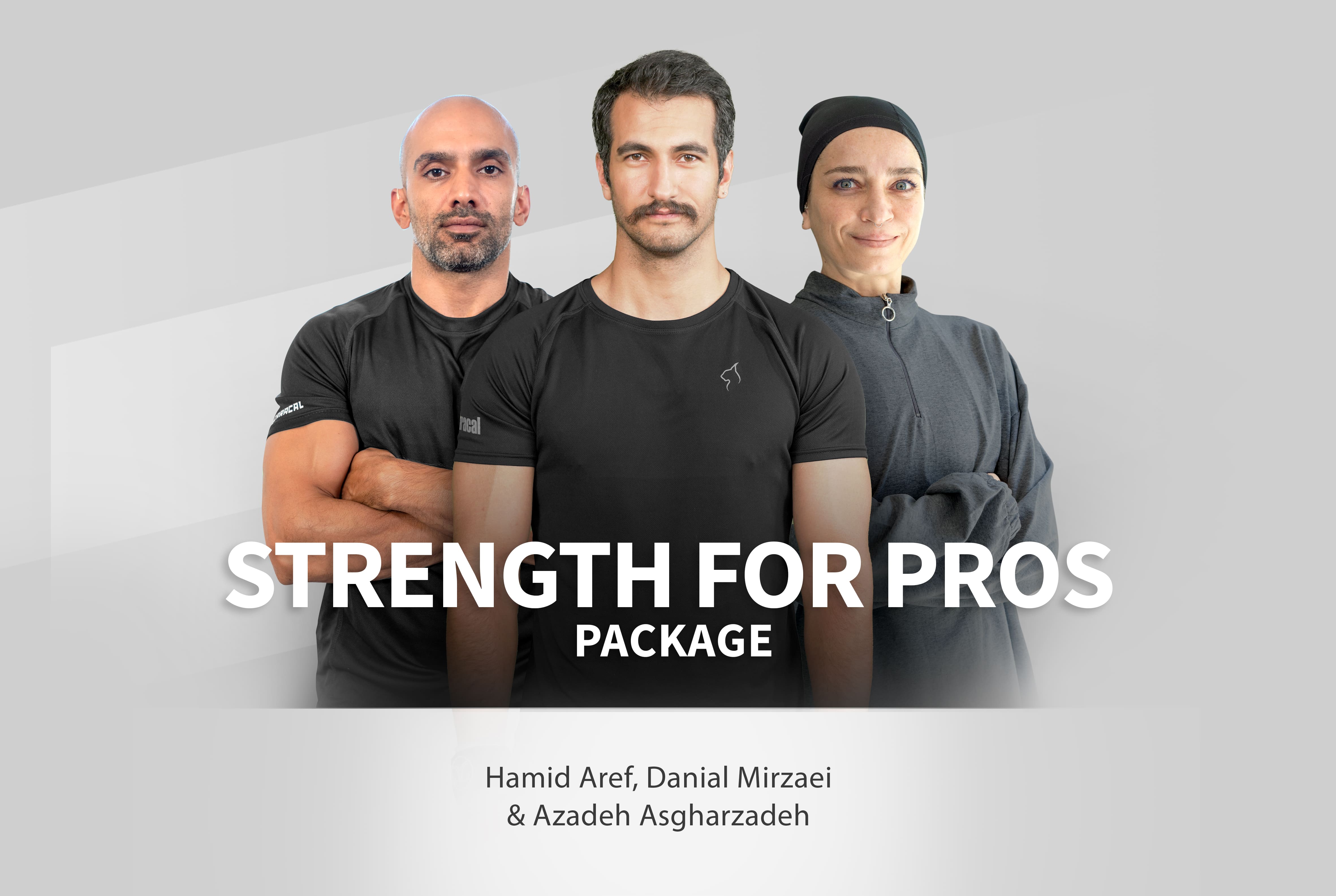 پکیج قدرتی برای حرفه ای ها